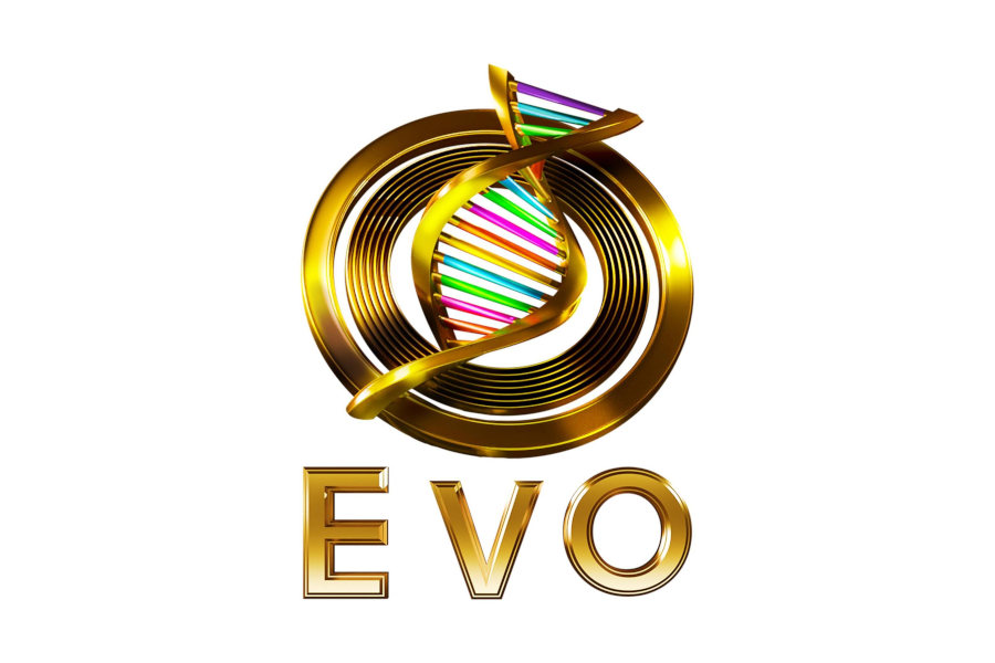 Gold Evolution Wonderlounge EVO logo featuring a circular emblem and a rainbow-colored DNA helix on a white background.