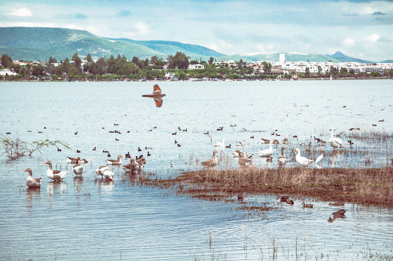 Parque Metropolitano de León