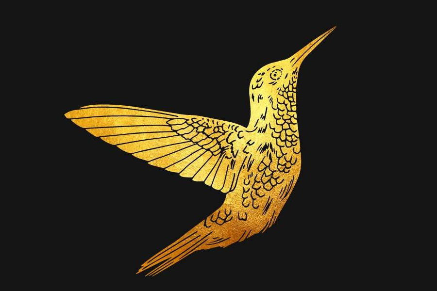 Golden hummingbird illustration on a black background used as the logo for 620 Jones rooftop venue.